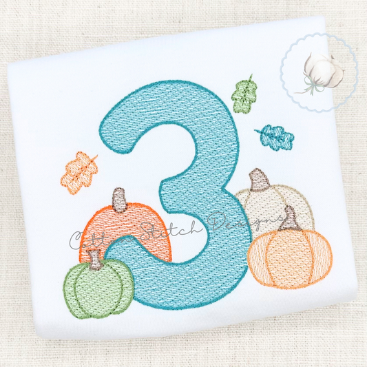 Pumpkin Patch Number Three Embroidery Design
